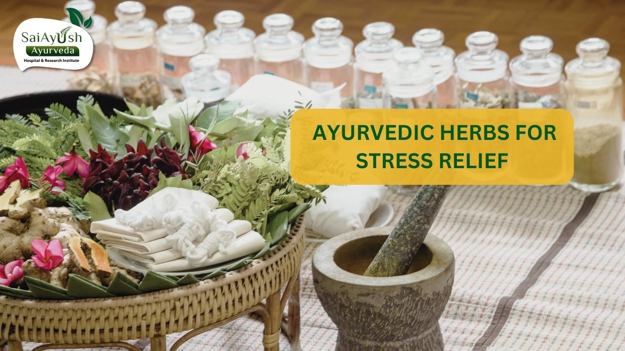 Ayurvedic Herbs for Stress Relief: Nature’s Soothing Remedies