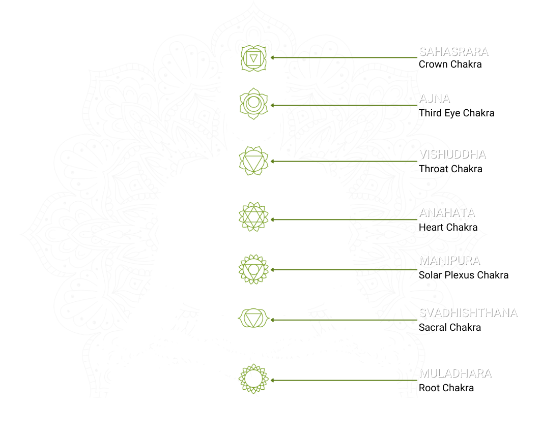 Misson Vision SaiAyush Ayurveda