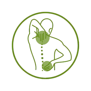 Logo of Sai Ayush Ayurveda featuring a minimalist outline of a person with highlighted areas along the spine and lower back, symbolizing focus on holistic healing and wellness.
