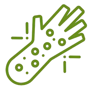 Illustration of a hand with multiple circles, symbolizing healing or alternative medicine, related to Ayurveda.