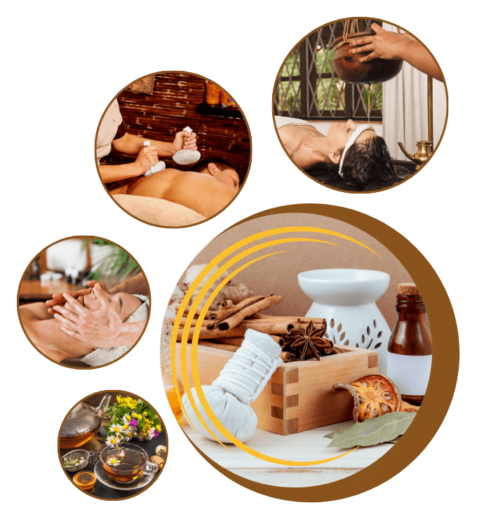 Best Ayurveda Hospital Ayurveda Treatments At Sai AYush