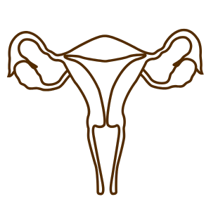 Gynecology