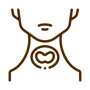 Thyroid