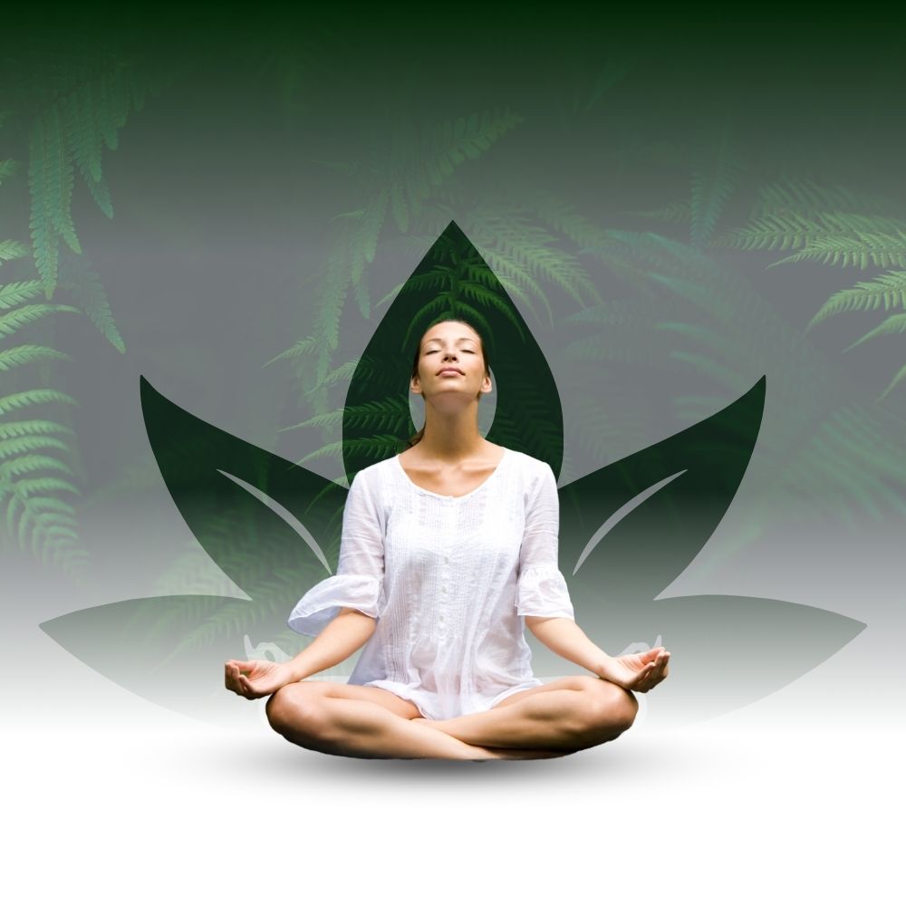 Best Ayurveda Hospitals (2) Best Ayurveda Hospitals